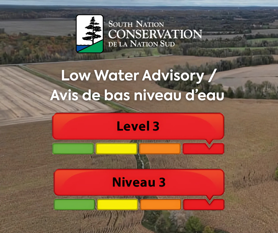 level 3 low water graphic