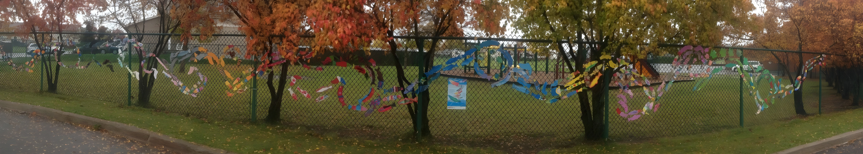 streams of dream fish fence