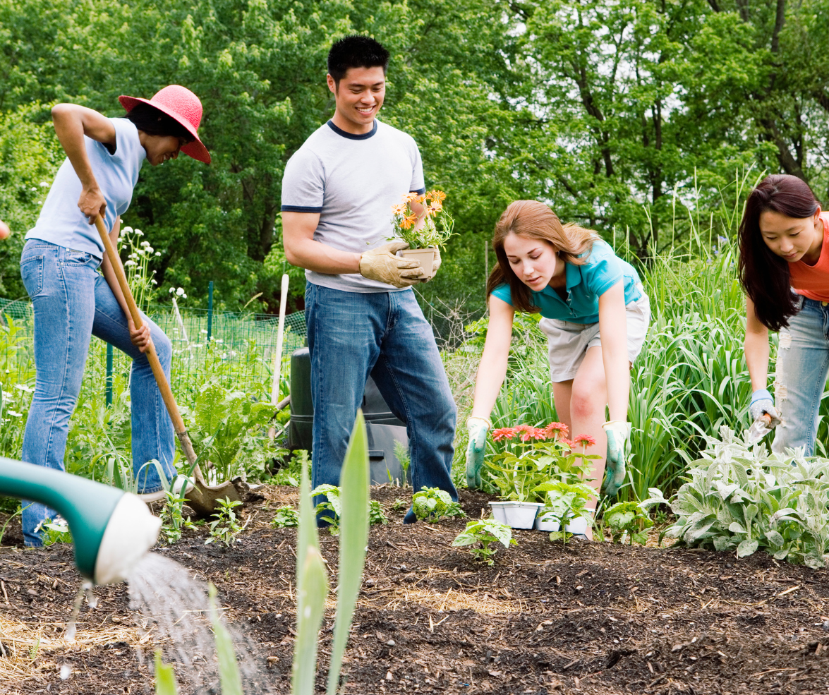 Community Tree Planting